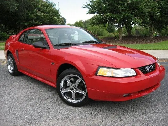 mustang mustang