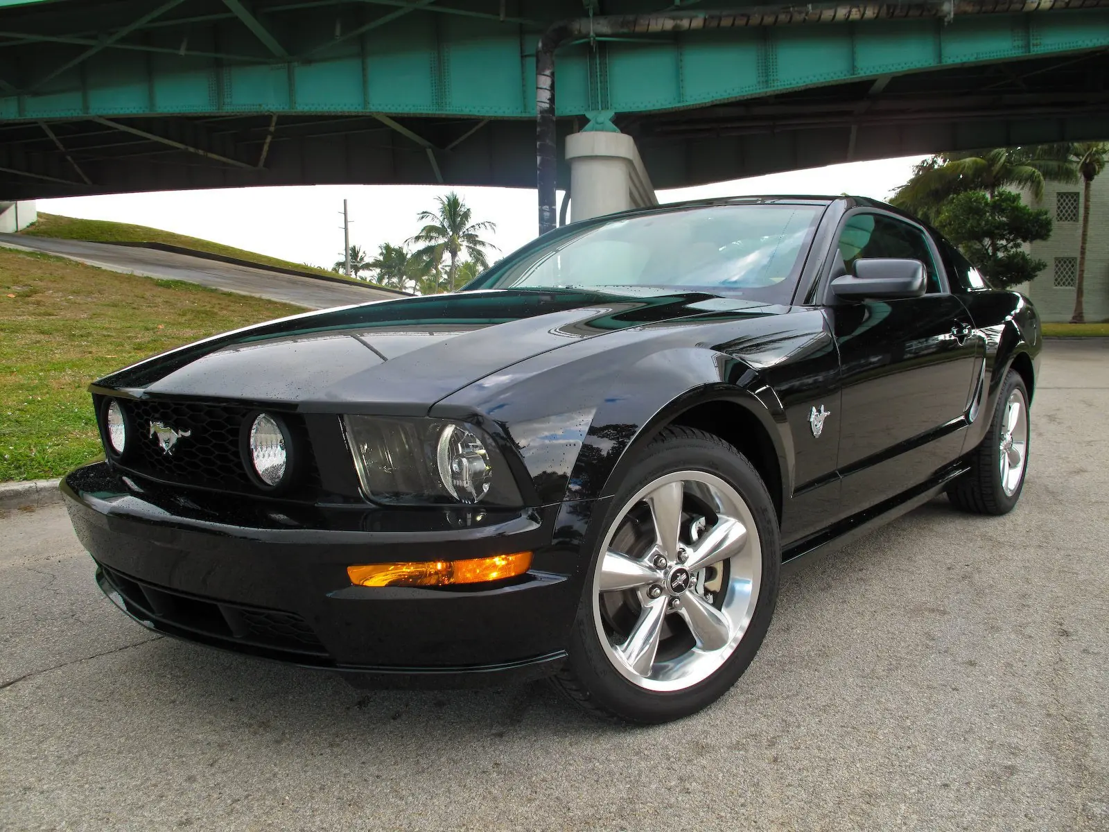 Ford Mustang Ford Mustang