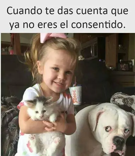 Imágenes de humor nocturno Parte- 105