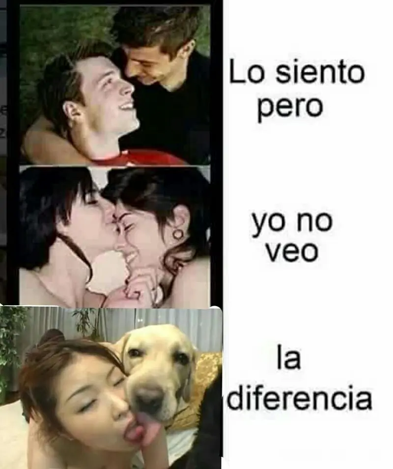 los mejores memes
