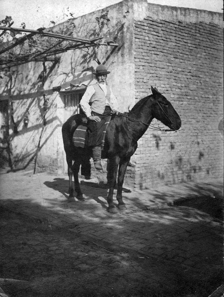 gaucho
