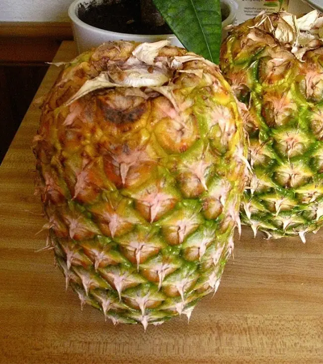 que te facilitaran la vida