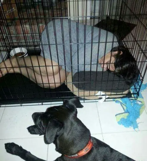 imagenes