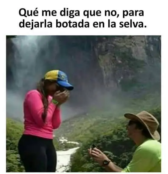 imagenes
