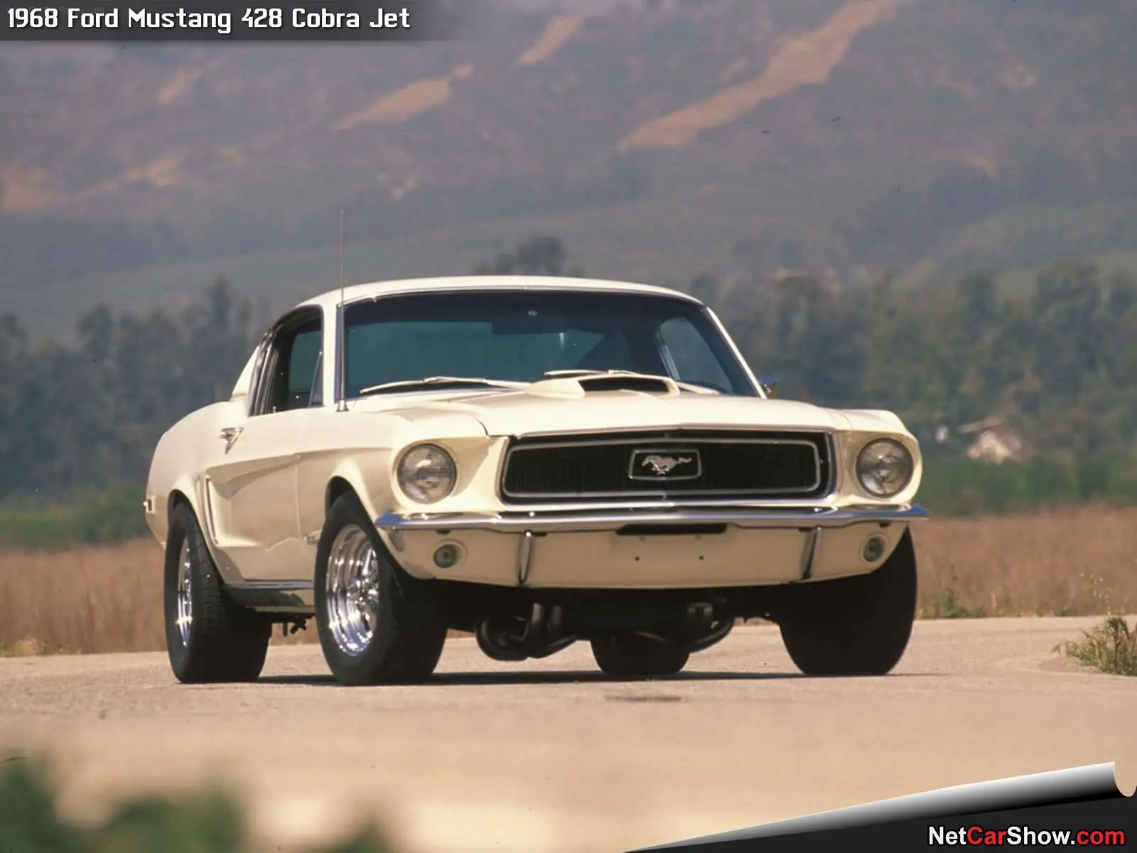 mustang mustang