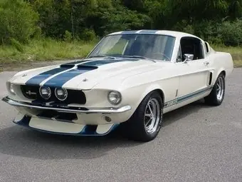 mustang mustang