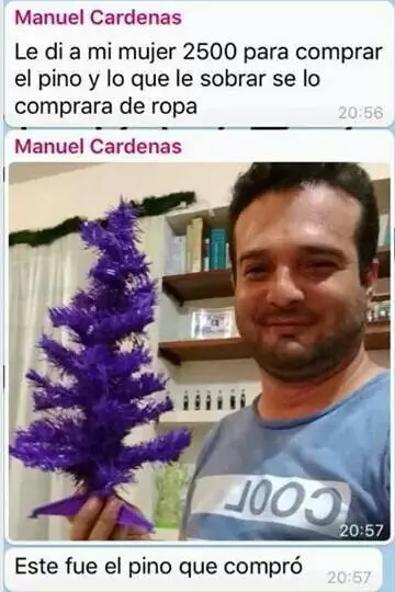 humor memes