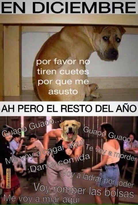 Imágenes de humor nocturno Parte- 105