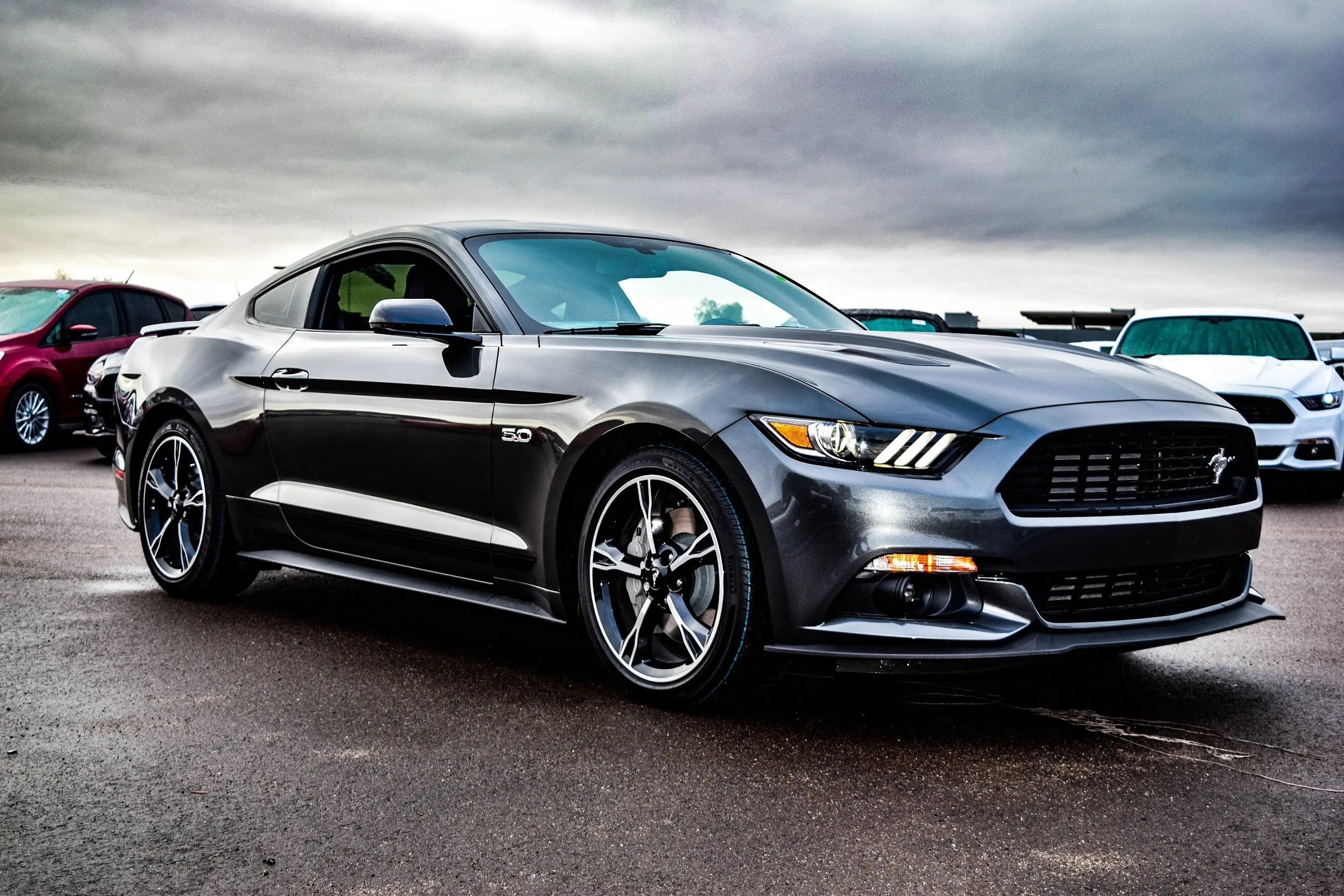 mustang mustang