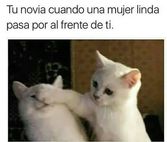 humor