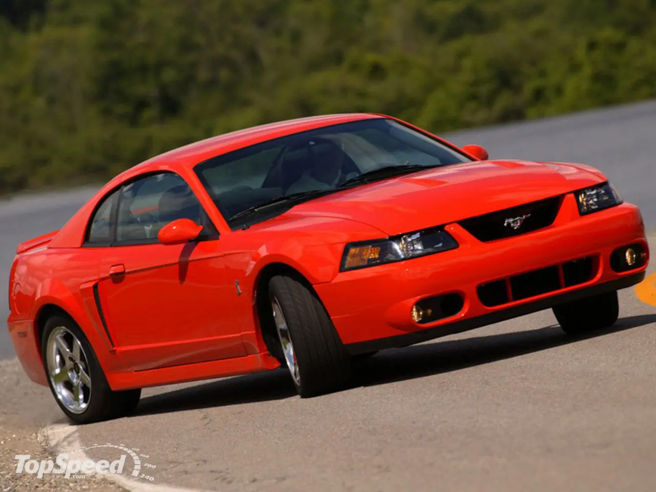 Ford Mustang Ford Mustang
