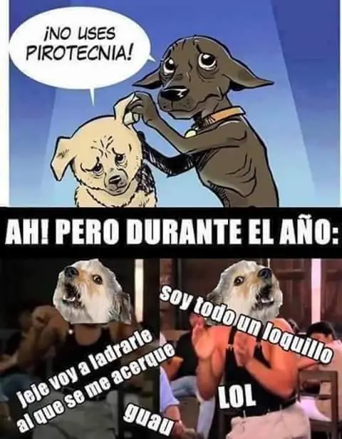 humor