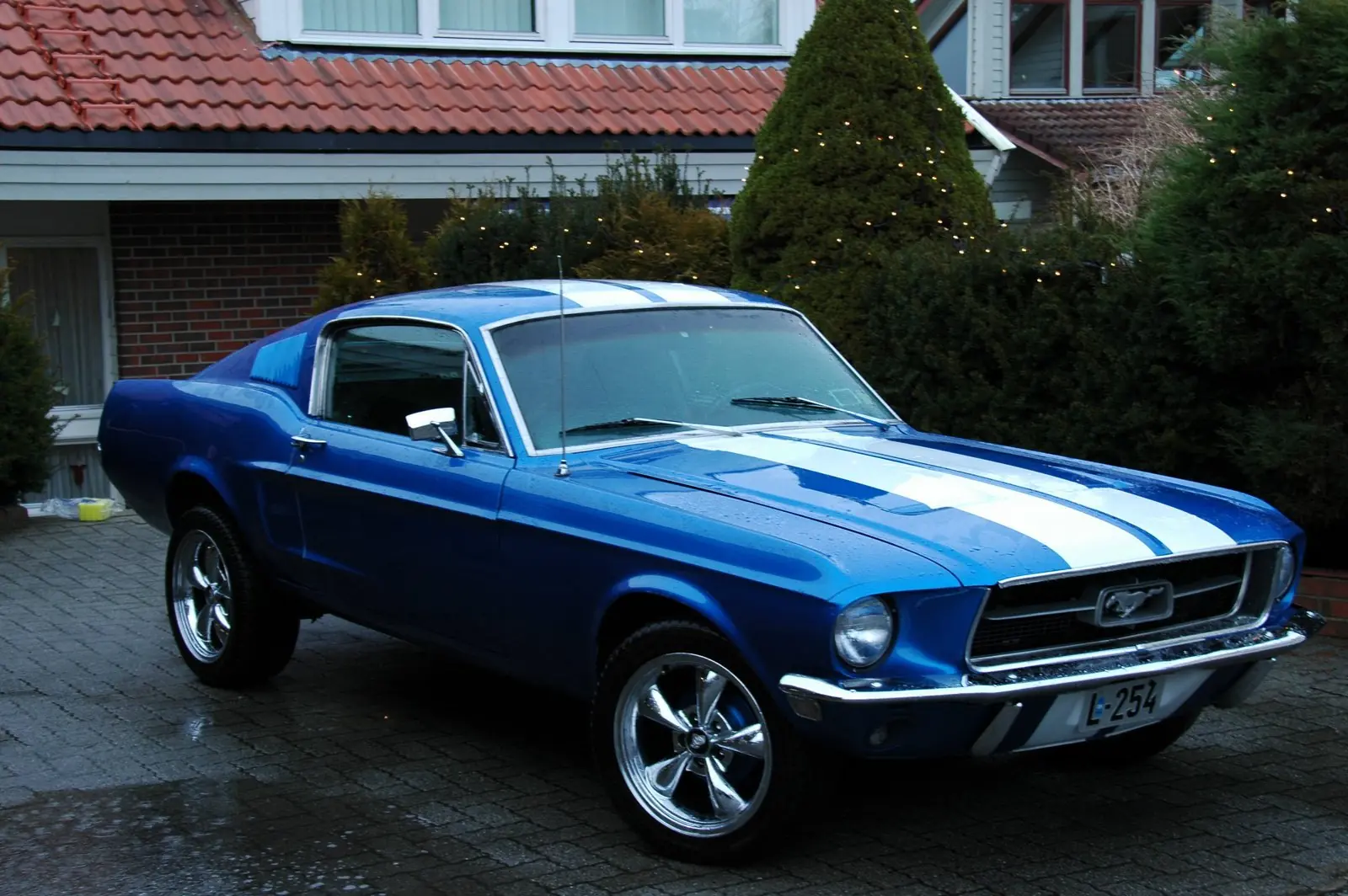 Ford Mustang Ford Mustang