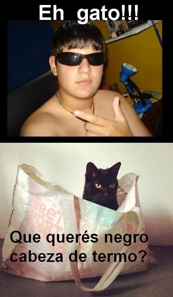 50 imagenes de Humor Lincesco #43
