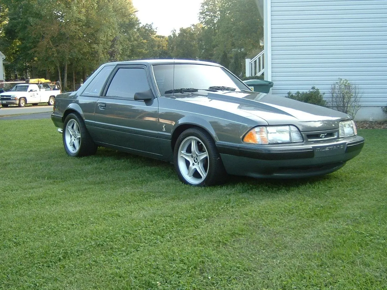 mustang mustang