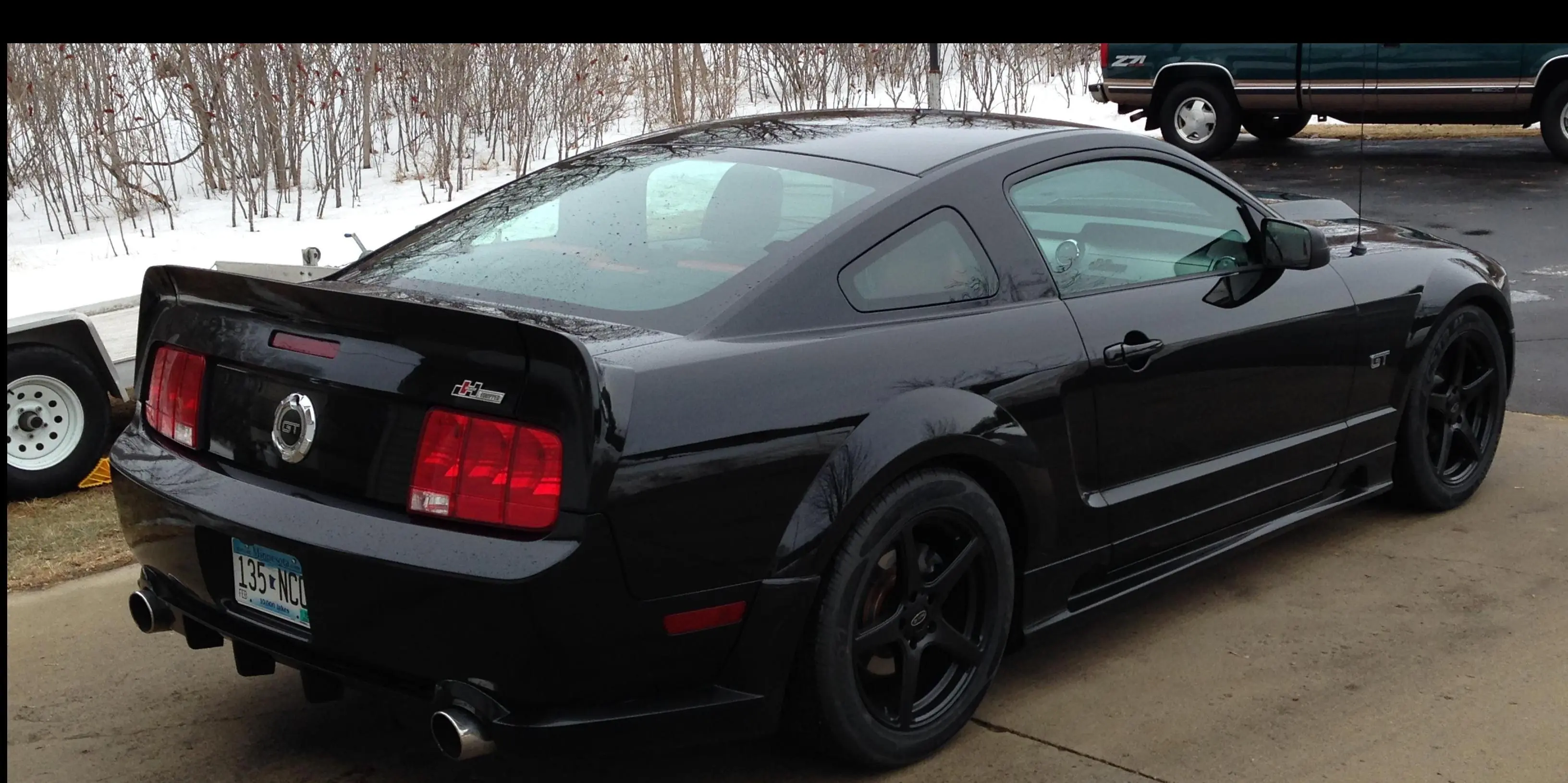 mustang mustang