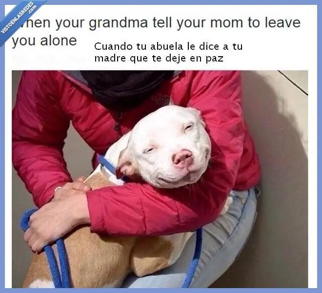 no te vayas