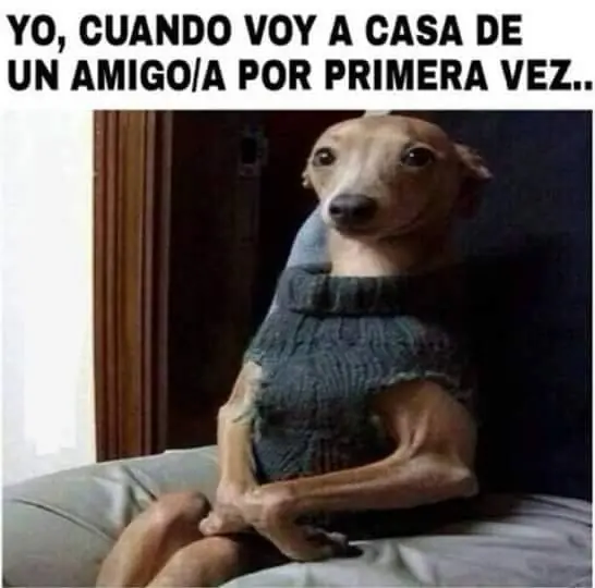 memes