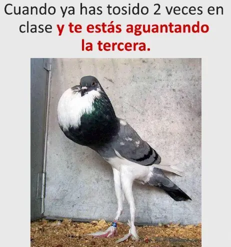 arranca