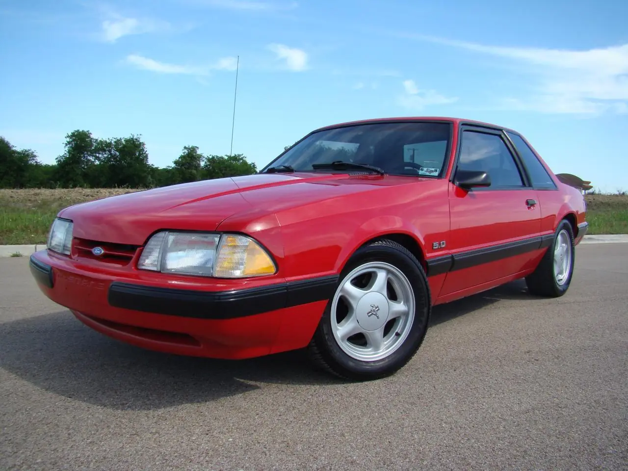 mustang mustang