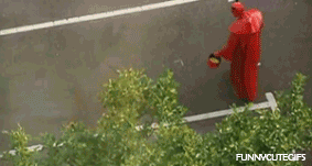 aburrido? 30 gifs geniales