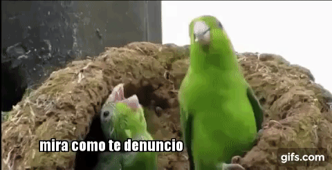 Cansado de recibir negativos? Entra