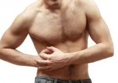 gordo
