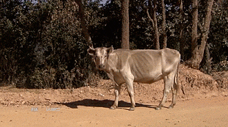 Humor random compilation+imagenes y gifs parte 2