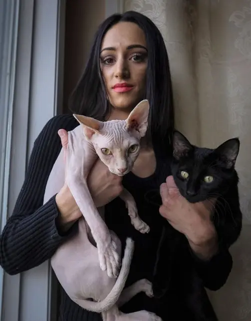 Depilan gato y lo venden