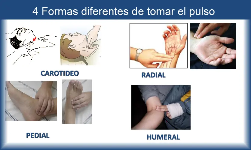 sabias  que