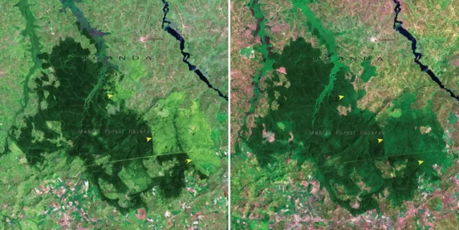NASA "La Tierra está muriendo y la estamos matando"