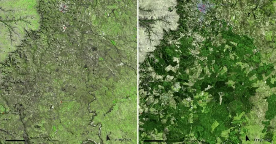 destruccion del planeta tierra por el hombre