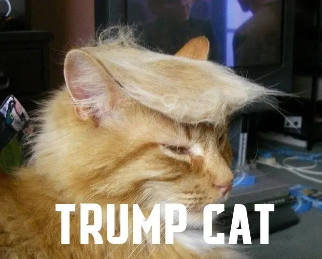 #ResistingWithEndurance: Nuevo movimiento de Klinton [Resub]