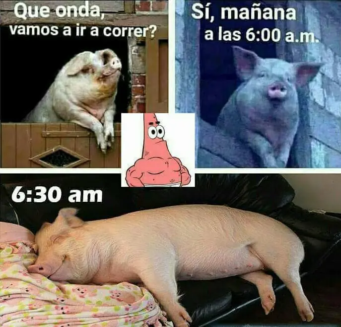 humor