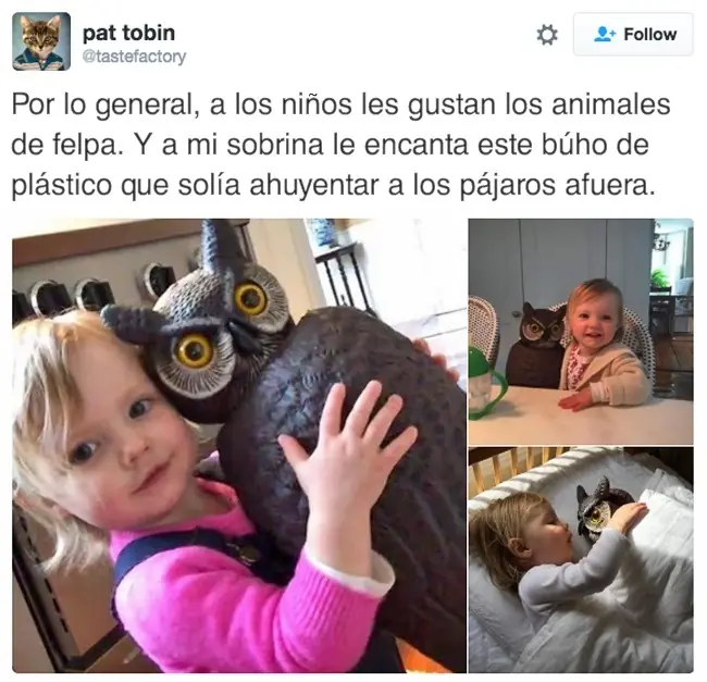 19 Fotos que harán tu día un poco más feliz.