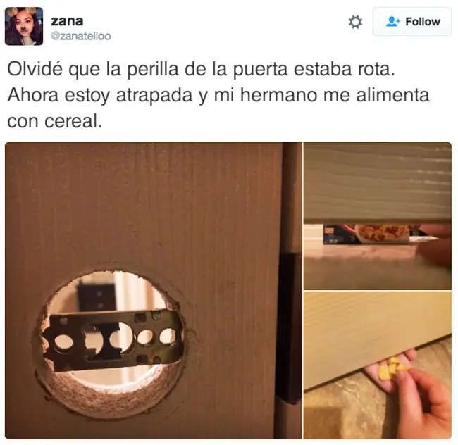 fotos