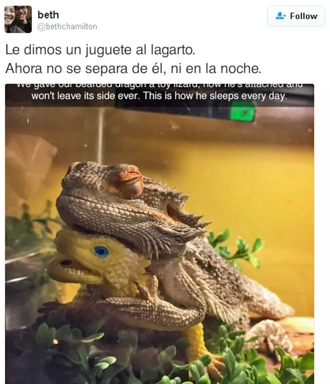 tu dia