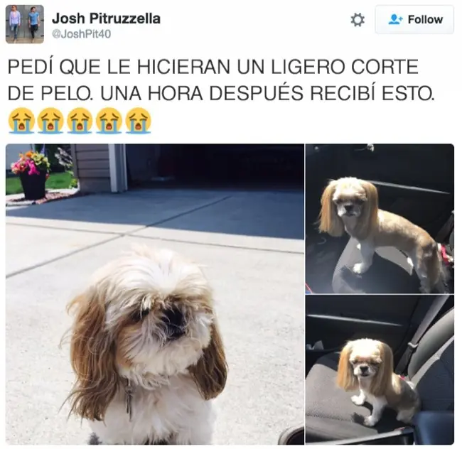 mas feliz