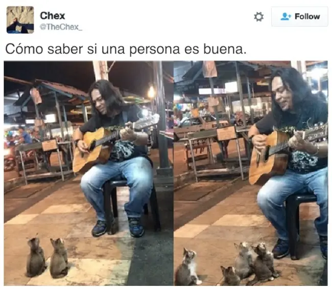 19 Fotos que harán tu día un poco más feliz.