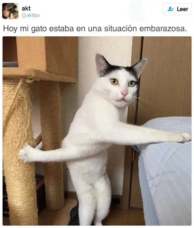 tu dia