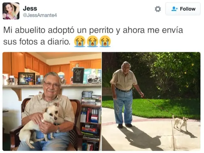 19 Fotos que harán tu día un poco más feliz.