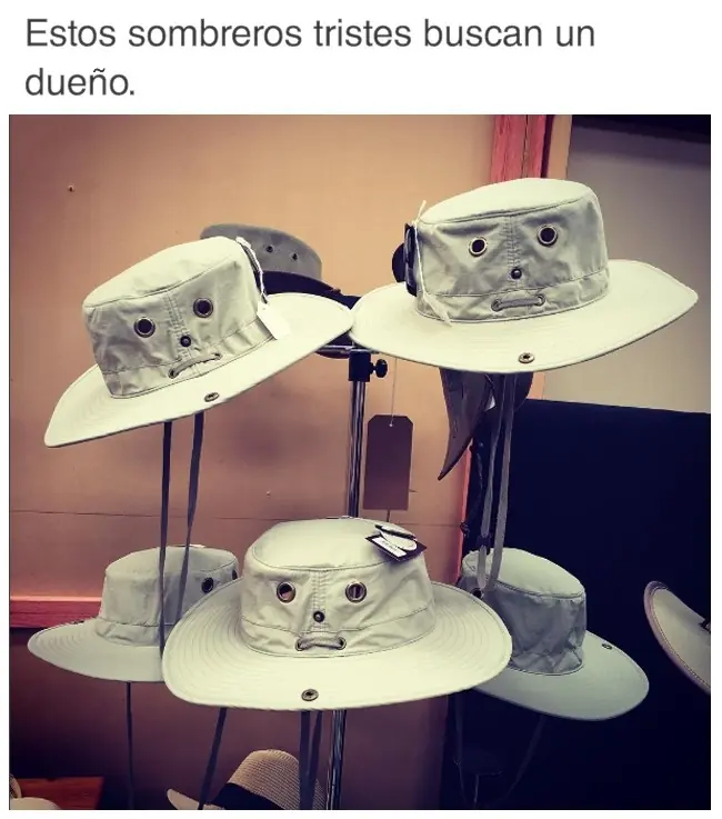 fotos