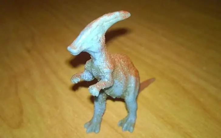 hicieron