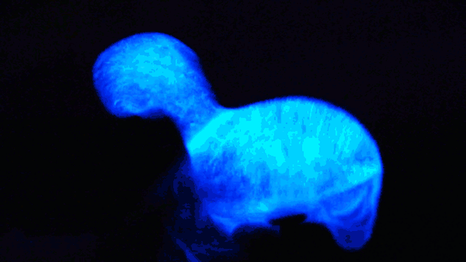 Dino pet, dinosaurio de mascota, vas a querer uno