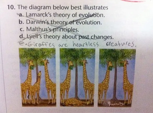 examen
