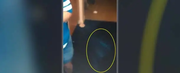 ¡Perturbador! Captan en video a su perro recién fallecido