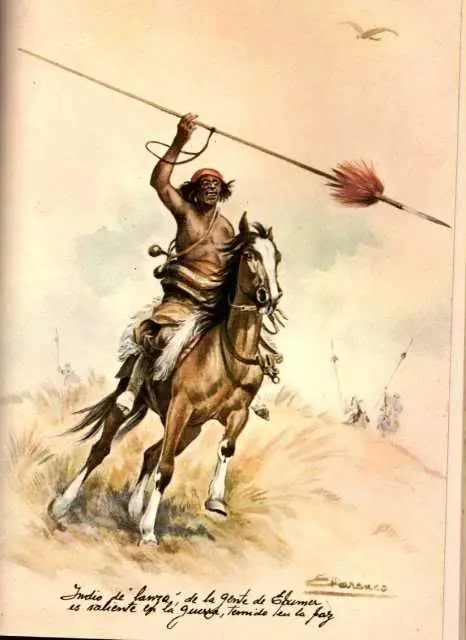 aborigenes de argentina