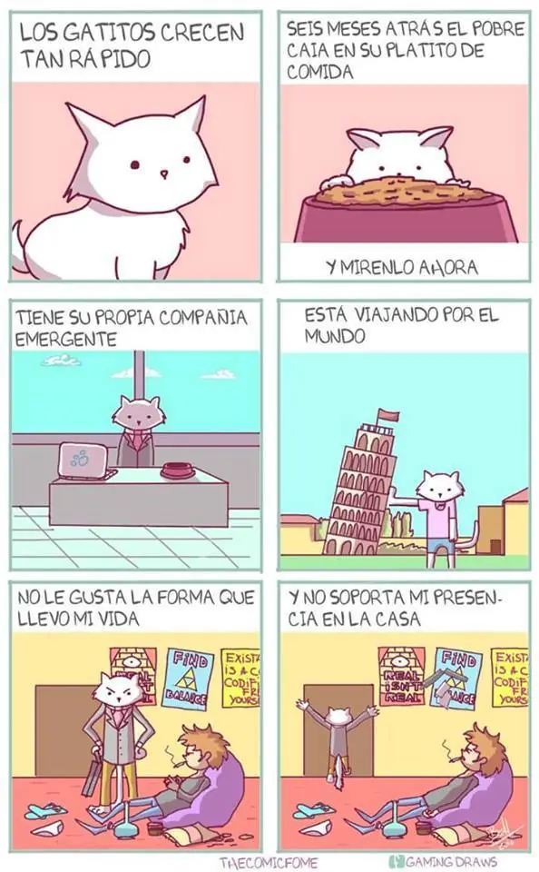 humor para todos