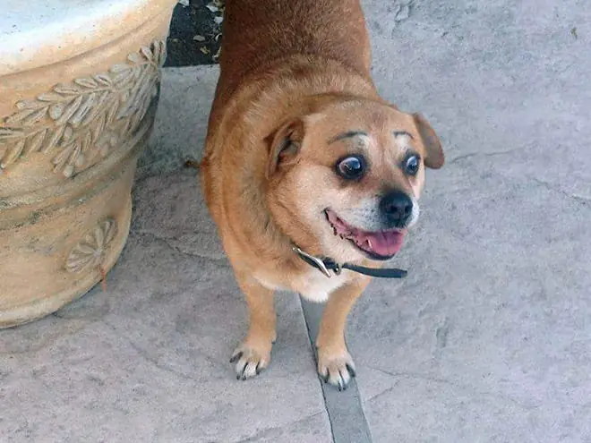 sospecha