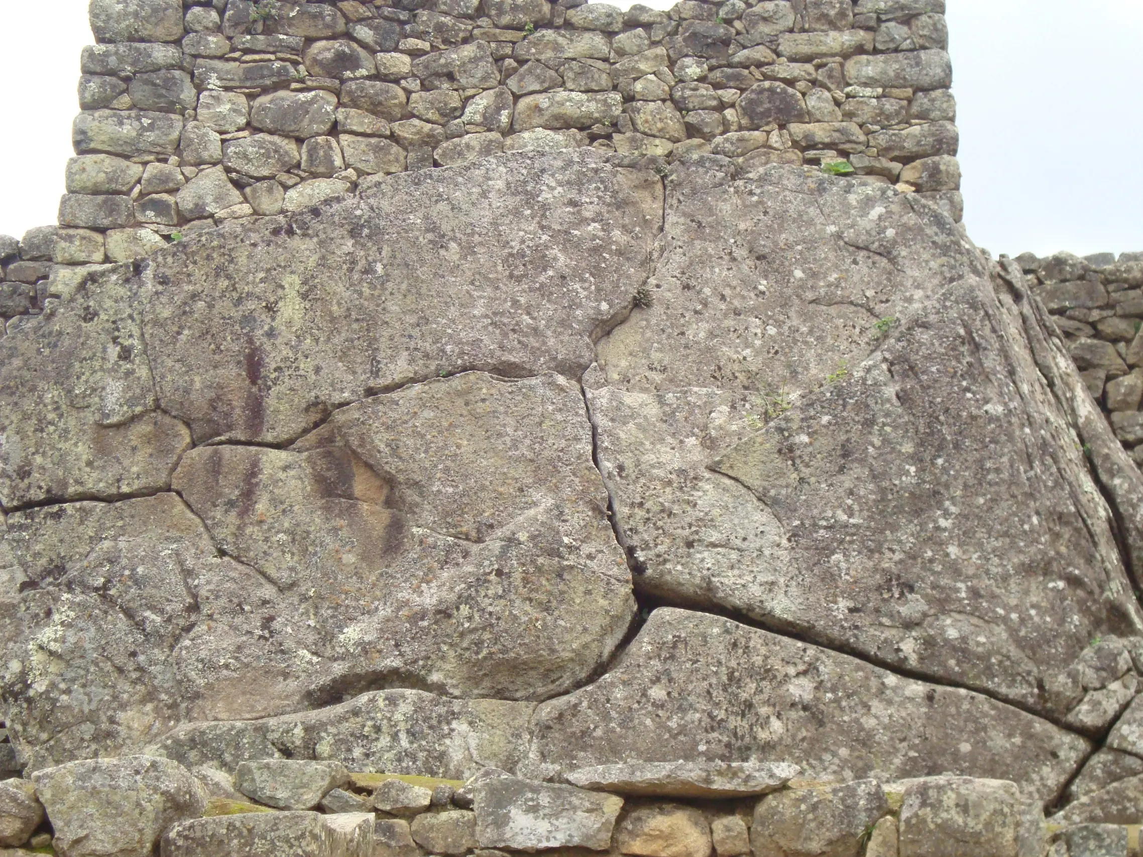 Moray Moray